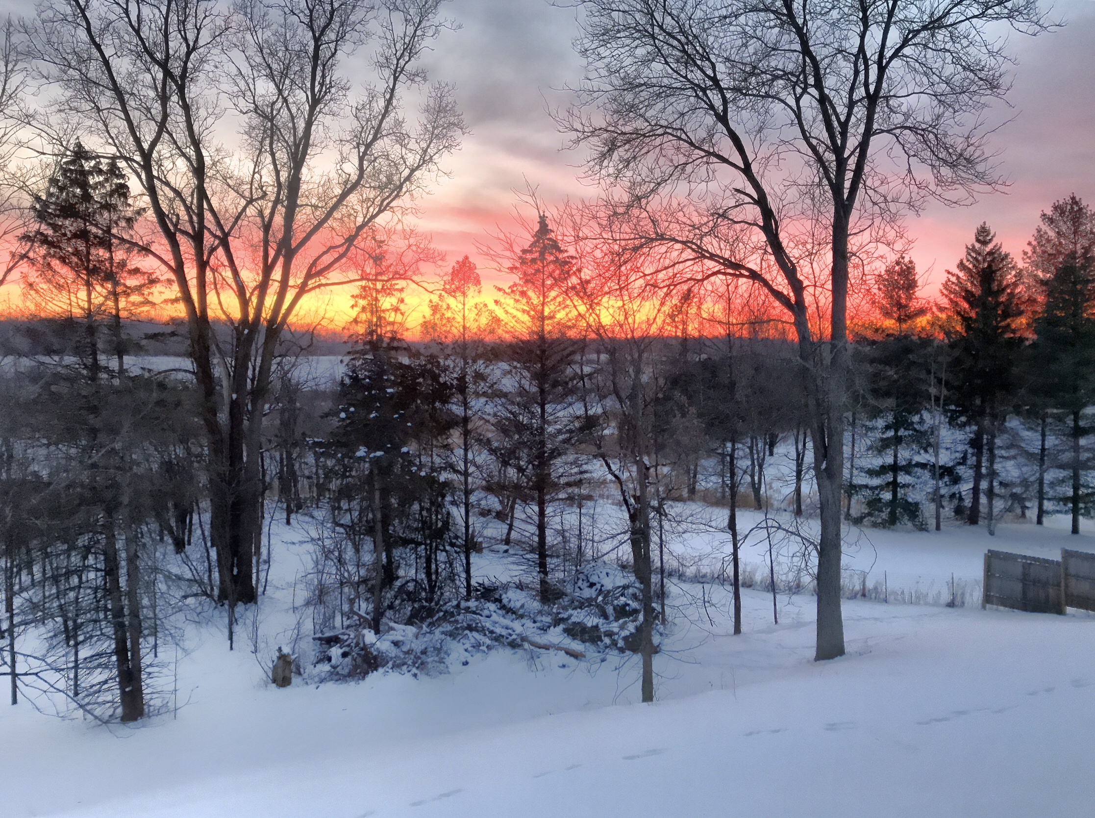Sunset over snowy field and woods
