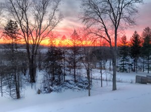 Sunset over snowy field and woods