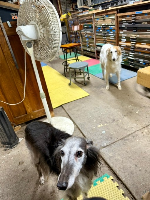 Shop dogs Louie and Ralph.