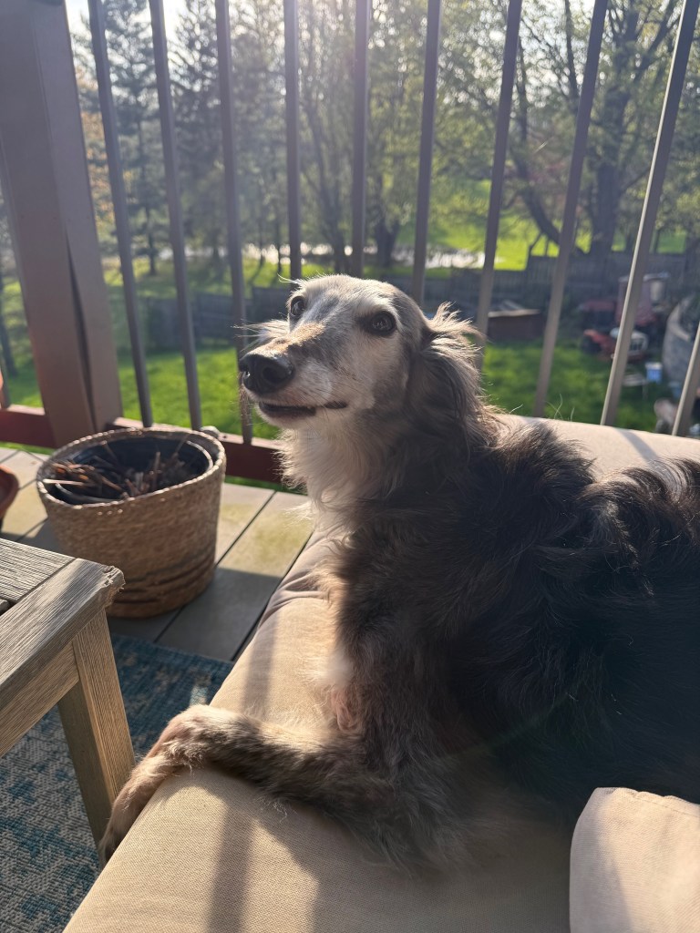 Ralph smiles.
